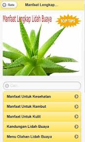 The Complete Benefits Of Aloe Vera For Android Apk Download