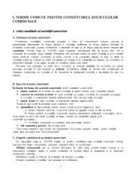 Model act constitutiv ac srl as unic. Referat Actul Constitutiv Al Societatilor Comerciale Drept Comercial 275553