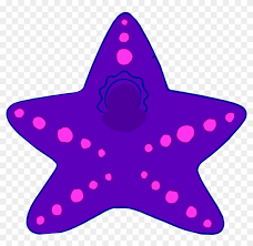 Símbolo de estrella sobre fondo blanco. Starfish Costume Estrella De Mar Disfraz Free Transparent Png Clipart Images Download