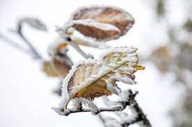Trotzdem kündigt sich für ende februar/anfang märz eine abkühlung an, die die temperaturen richtung gefrierpunkt tendieren lässt. Zweistellige Minusgrade Jetzt Kommt Der Winter Nach Deutschland