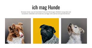 Afp) besser hätte das comeback von kevin de bruyne nicht verlaufen können. Galerie Hunde Html Vorlage