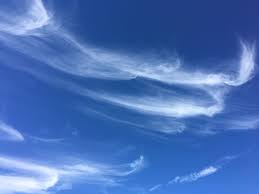 Maybe you would like to learn more about one of these? Hd Wallpaper Clouds Blue Sky Virginia Sky Cloud Sky Backgrounds Nature Wallpaper Flare