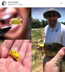 Check spelling or type a new query. Taco Fishing Lure Off 62 Medpharmres Com