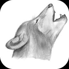 See more ideas about desen, creion, picturi. Profesor De È™coalÄƒ Spectaculos Ecologie Cele Mai Grele Desene In Creion Prakrititravelacademy Org