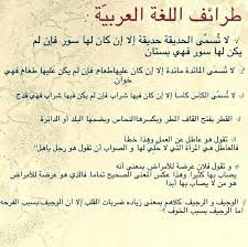 المصحح الإملائي En Twitter من طرائف اللغة العربية Http T Co Mvvp8lqxjp