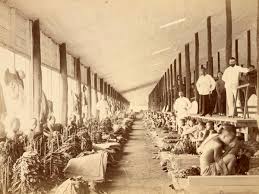 Malaysia đang có 6 điểm trong tay. The Dark History Of Slavery And Racism In Indonesia During The Dutch Colonial Period