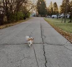 Morning meditation with Ollie👌🏻 “May my heart be kind. May my mind be  fierce. May my spirit be brave.” -Kate Forsyth