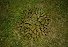 To begin, environmental art is a very broad term. 10 Beautiful Artworks So Huge You Can See Them From The Sky