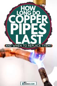 We did not find results for: How Long Do Copper Pipes Last And When To Replace Them Uooz Com