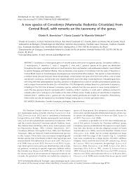 Gross stomach morphology in calassomys apicalis, gen. Https Www Scielo Br J Zool A Pkj9mcnmrwvshmjpmlqyxqn Lang En Format Pdf