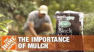 We use the yard for deliveries to all our customers homes. Best Mulch For Your Yard The Home Depot