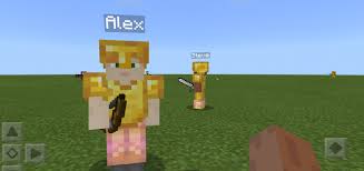 Many friends play minecraft on lan as they can't afford a full fletched server. Fake Players Add On Minecraft Pe Mods Addons