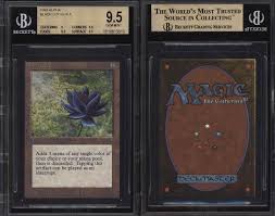 The gathering card sleeves and other accessories mtgmintcard.com is ranked no. Somebody Dropped More Than 87 000 On A Magic The Gathering Card