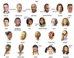 How To Manage Any Hair Type Learn English Hairstyle Names English For Beginners