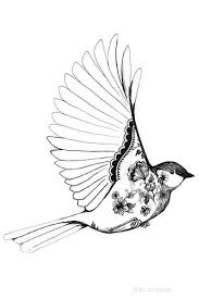 Black And White Bird Pictures Bird By Linn Warme White Bird Tattoos Bird Drawings Black And White Birds