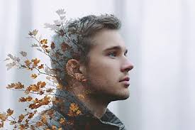 Autumn Branch Over Swirling Teal Waters Leaves Yellow Background, Autumn,  Branch, Leaves Background Image And Wallpaper for Free Download