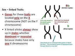 It occurs as pairs in females, but only a single chromosome can be found in males. Sex Linked Traits Genes For These Traits Are Located Only On The X Chromosome Not On The Y Chromosome X Linked Alleles Always Show Up In Males Whether Ppt Download