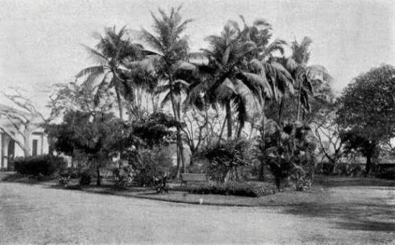The Byculla Club, Bombay