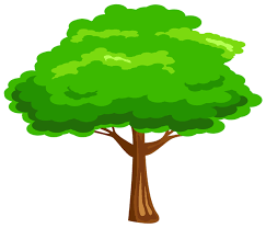 Green Tree Png Image Cartoon Trees Picture Tree Tree Images