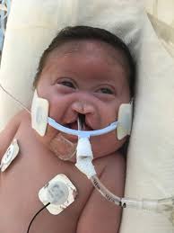 Hope Holland Obituary