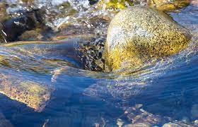 Зачем газируют воду