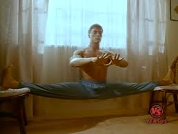 Image result for Van Damme split