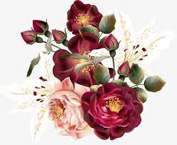 Enjoy hd high quality fashion flower border decoration vector boho burgundy watercolor flowers png transparent png and download more related png image for free. Red Flowers Png Free Download Flower Prints Art Red Flowers Flower Png Images