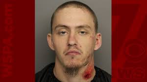 Greer double shooting suspect arrested after chase, ramming patrol car say  deputies