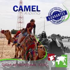 The cost of adopting your new companion will vary from rescue group to rescue group. Best Price Top Qatar International Tours Qit Facebook
