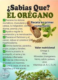 ORÉGANO OREJÓN PARA LA VISTA👇