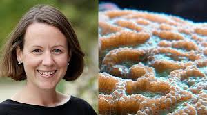 Think about volunteering for ageing brain-power project — Department of  Psychiatry