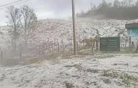 หิมะก็ได้ตกที่เมืองเชียงขวาง ทางตอนเหนือของสปป.ลาว ซึ่งติดกับเวียดนาม หิมะปกคลุมขาวโพลน อุณหภูมิติดลบเช่นกัน Ofeapm 0acs Gm