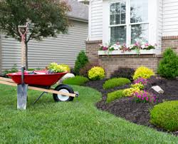Check spelling or type a new query. The Best Dual Indoor And Outdoor Plants For All Conditions Davey Blog