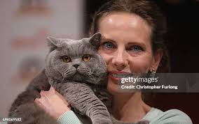 393 Governing Council Of The Cat Fancy Stock Photos, High-Res Pictures, and  Images