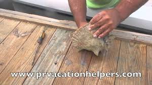 Use a tooth brush and some toothpaste and simply scrub it clean. How Do You Clean Conch Shells Youtube