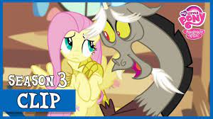Discord in Fluttershy's Home (Keep Calm and Flutter On) | MLP: FiM [HD] -  YouTube