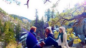 Image result for Christella chaseana