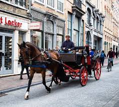 Pin Auf Sinnessuche Instagram