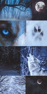Check spelling or type a new query. Black And White Wild Animals In Africa Animals In 2021 Werewolf Aesthetic Wolf Wallpaper Aesthetic Wallpapers