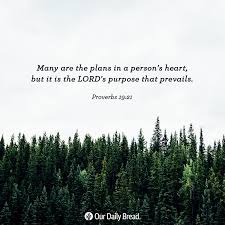 Share Odb 2019 08 14 Our Daily Bread