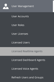 This report has a grid view only. Licensed Realtime Agents