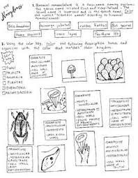 The Six Kingdoms Coloring Sheet Independent Practice Coloring Sheets Sheet