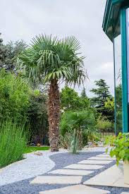 Petites fleurs jaunes en panicules pendantes. Conception De Jardins Devis Personnalise Createur De Jardins En Drome