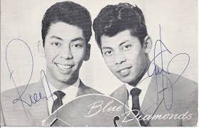 De Platina Selvera's