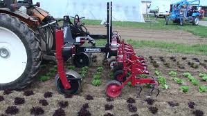 50 years of experience in weed control