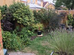 Download container herb gardening made easy how to grow fresh herbs at home in pots beginners download full ebook. The Garden Without A Journey Busy Gardening