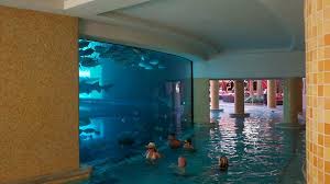 Http Cheaplasvegas Cc Free Images Las Vegas Golden Nugget Shark Tank 3 Las Vegas Jpg Peceras Acuarios