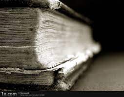 Pin On Save The Bookworms