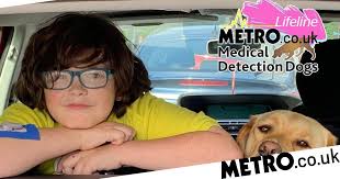 Metro Lifeline: A medical detection dog gave us our lives back