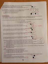 Genetics pedigree worksheet order of pedigree worksheet #400294. Pedigree Science Chart Vtwctr